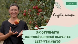 Як Отримати Якісний Врожай Яблук та Зберегти Його? Все що потрібно Знати про Вирощування Яблук.