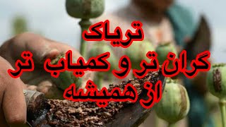 تریاک گران تر و کمیاب تر از همیشه. دکتر زهرا فتوره چی و محمد ندیمی