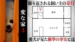 【変な家３】水の流れる部屋で飼い主の奇行を目撃したポメラニアン