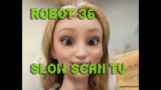 0045 Toonify SSTV Robot36