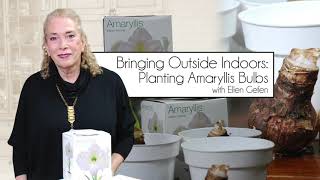 DIY Indoor Gardening #DIY #plants #gardening