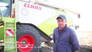 Claas Tucano 580 на уборке подсолнечника. Демонстационный показ, Тамбовская обл