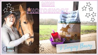 MINI PHOTOSHOOT & LUNGING BARNY | Lunging my horse and taking pictures | Diary Of A Dun