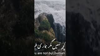 Surah Yaseen - Urdu Translation #short