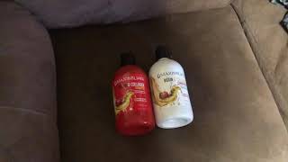 Shampoo and Conditioner