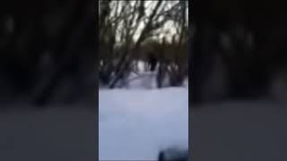 Children caught Bigfoot on camera