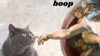 Funny edits: Cat smacking the hand of God