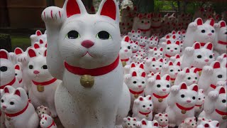 Gotokuji (Cat Temple, 猫寺) - Setagaya, Tokyo