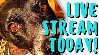 LIVE! - It's the Other BEST Day Drama-free Monday! 01-30-2023 - with Barb