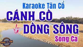 Karaoke Tân Cổ | CÁNH CÒ VÀ DÒNG SÔNG | (Song ca) beat hay 2024