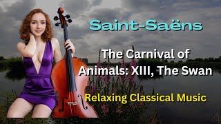 [4K] Soothing Cello Saint-Saens The Carnival of Animals: XIII, The Swan | Relaxing Classical Music