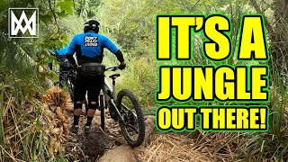 Waterworks trail system has a little something for everyone! | EMTB | MTB | YT Decoy | Mountain Bike