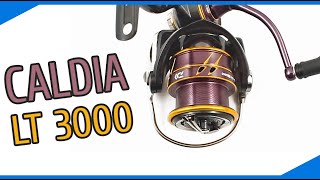 DAIWA 21 CALDIA LT 3000 | Безынерционная катушка