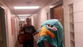 Phineas and Ferb Theme Song - Acoustic Cover