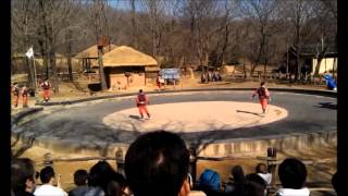 Traditional Culture Village Suwon Korea horsemanship show