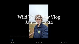 Wild Woodbury Vlog January 2022