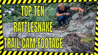 TOP TEN TIMBER RATTLESNAKE TRAIL CAM FOOTAGE