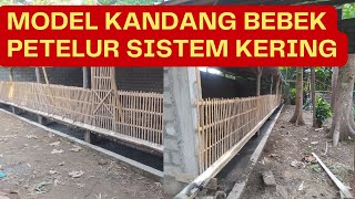 KANDANG BEBEK PETELOR EKONOMIS 5×15 METER UNTUK KAPASITAS 150 EKOR