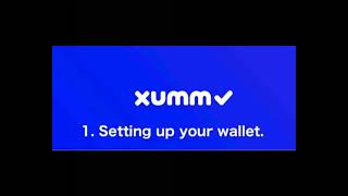 Setting up XUMM wallet