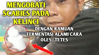 CARA MENGOBATI SCABIES PADA TERNAK KELINCI DENGAN RAMUAN RACIKAN FERMENTASI ALAMI