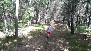 Juneau County Wilderness Area on Petenwell Lake, Wisconsin August 2012