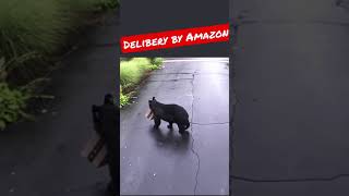 Delivery by Amazon