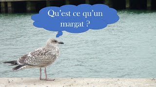 Le patois Boulonnais : les margats