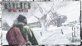 S.T.A.L.K.E.R Nature Winter -  Серия 9 [Финал]