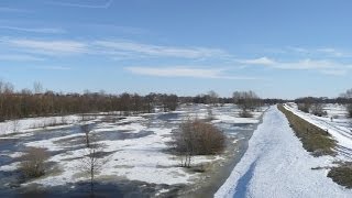 Rzeka Bug skuta lodem - zima 2014r