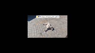 لما تكون حلبي و تروح على اليونان 🤣🤣