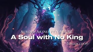 Aurora Aksnes ft Nature - A Soul with No King (1 hour version)