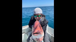 Catching Red Snapper in a Frenzy!!