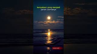 Berdamailah dengan masalahmu..#katakatamotivasi #katakatabijak #quotesmotivasi #sahabat_tani22