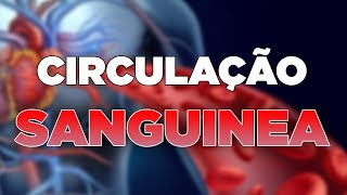 Circulação SANGUÍNEA |Fisiologia HUMANA para o ENCCEJA|