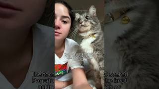 #68 Cute Cat videos 😻😻 #fails #funny #moments #reels