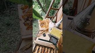 Reportage über Bienen und mehr