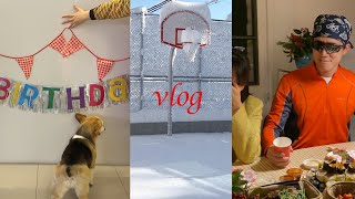 VLOG | 김배우님,,할로윈 아니고 크리스마스인데…🎄밤비 생일🐶 55.9cm 폭설 치우기☃️