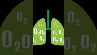 Microbial Production of Biodegradable Plastic