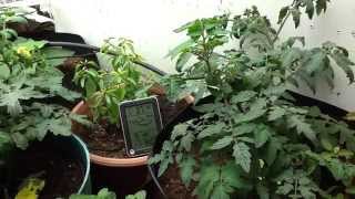 Indoor Garden 2014-2015 part 1