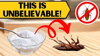 How To Get Rid Of Cockroaches From House With Baking Soda