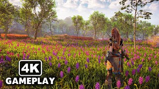 Horizon Forbidden West Open World Free Roam Gameplay in 4K 60FPS (PC Ultra Graphics)