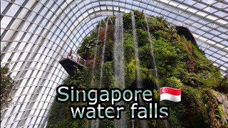 cloud forest singapore 🇸🇬 tamil vlog