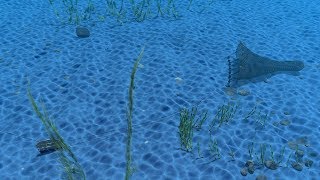 3d animation fishing net in underwater scene with maya