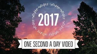 One Second a Day Video 2017