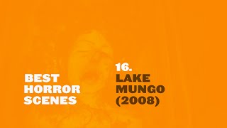 Best Horror Scenes: Lake Mungo (2008)