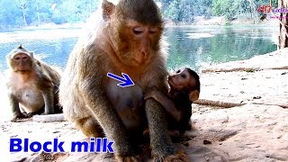 Mom Tara block milk baby Titan, Pity baby Titan try-try till success milk