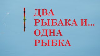 Как поймать рыбу в озере