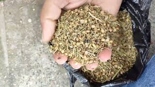 CORIANDER HUSK GRINDING QUALITY