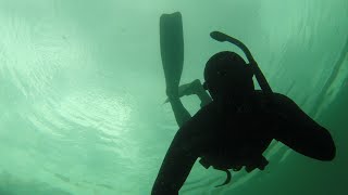 Underwater Beauty