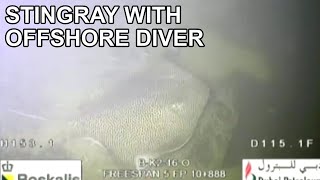 Offshore Diver on Seafloor with Stingray